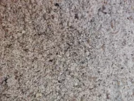 Tigernut Farine